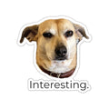 Frances “Interesting.” Die-Cut Sticker