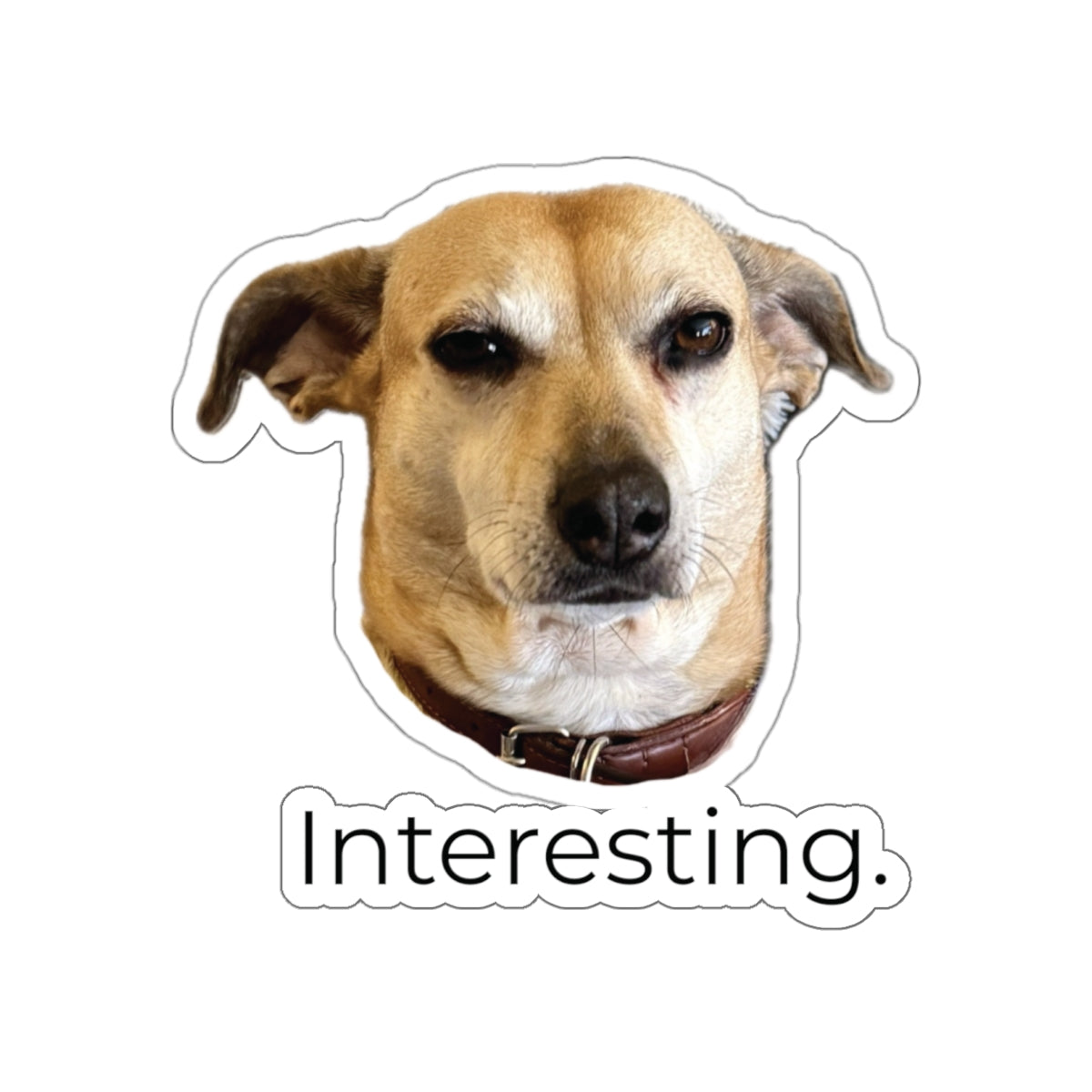 Frances “Interesting.” Die-Cut Sticker